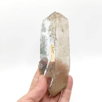 Quartz chloriteux (1 face polie), secteur Oisans, Isère.