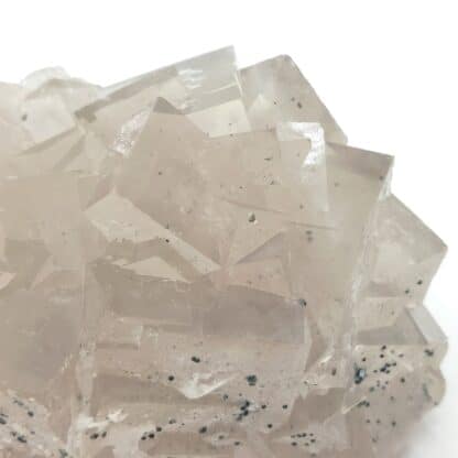 Fluorite, Barytine, mine de Fontsante, massif de Tanneron, Var.