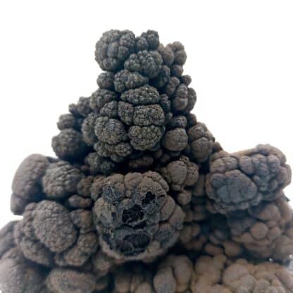 Pyrolusite, Le Kaymar, Pruines, Rodez, Aveyron.