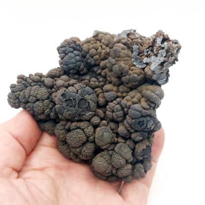 Pyrolusite, Le Kaymar, Pruines, Rodez, Aveyron.
