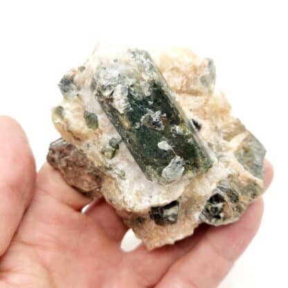 Diopside et Phlogopite, Ampandrandava, Beraketa , Madagascar.