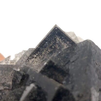 Fluorine à inclusion de Galène, Le Rossignol, Chaillac, Indre.