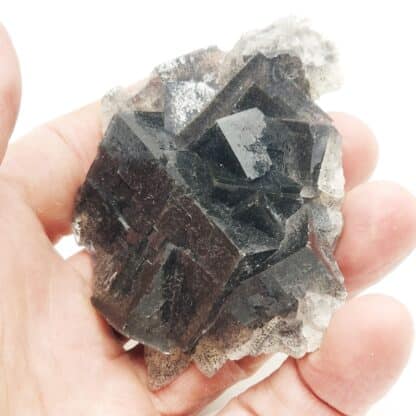 Fluorine à inclusion de Galène, Le Rossignol, Chaillac, Indre.