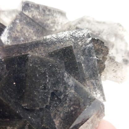 Fluorine à inclusion de Galène, Le Rossignol, Chaillac, Indre.