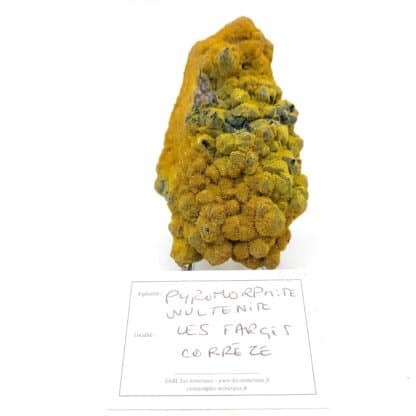 Pyromorphite et Wulfénite sur Quartz , Les Farges, Ussel, Corrèze.