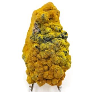 Pyromorphite et Wulfénite sur Quartz , Les Farges, Ussel, Corrèze.