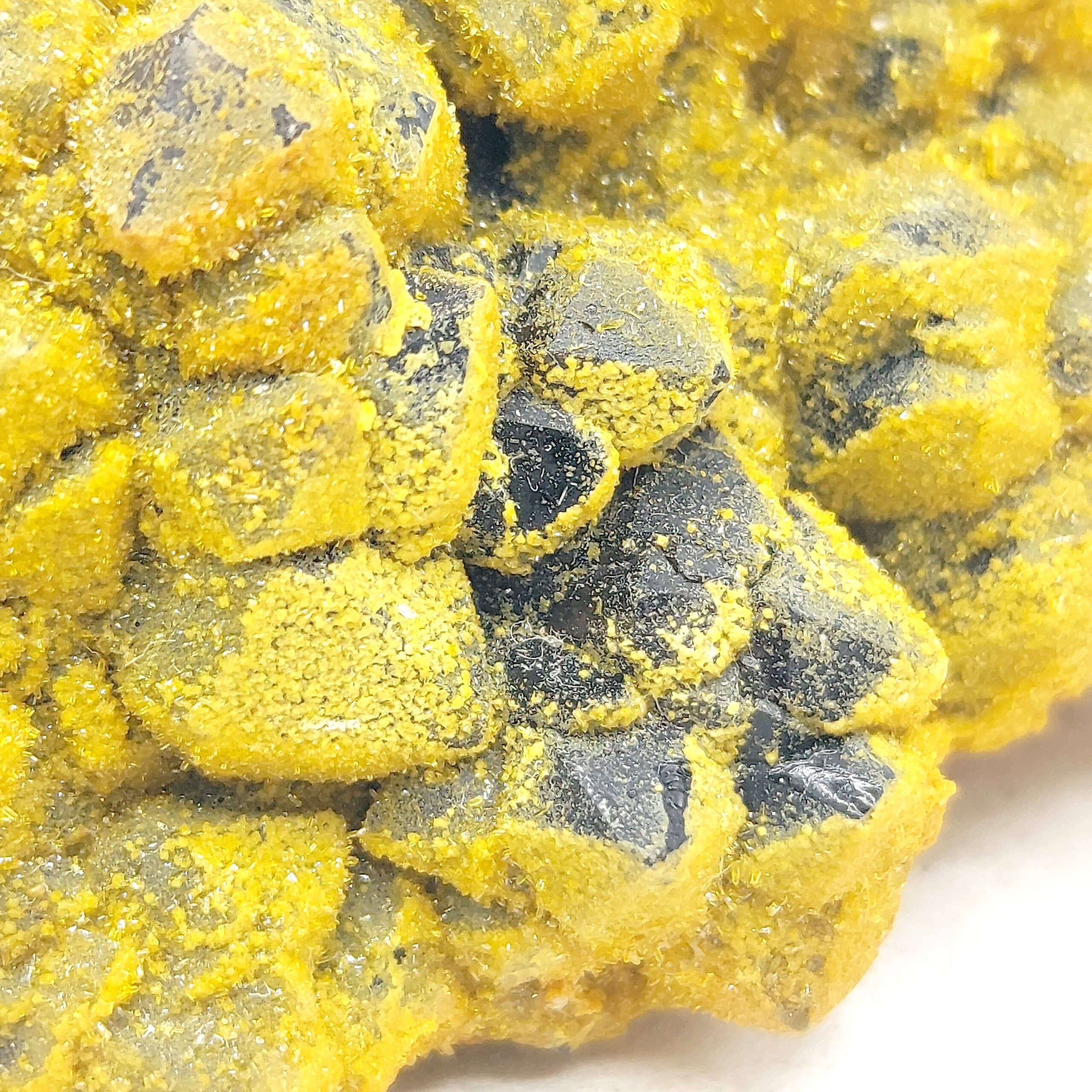 Pyromorphite et Wulfénite sur Quartz , Les Farges, Ussel, Corrèze.