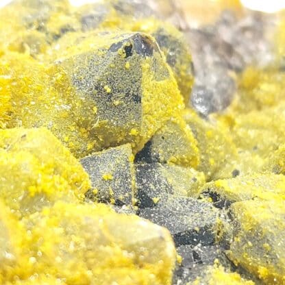 Pyromorphite et Wulfénite sur Quartz , Les Farges, Ussel, Corrèze.