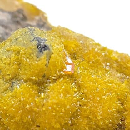Pyromorphite et Wulfénite sur Quartz , Les Farges, Ussel, Corrèze.