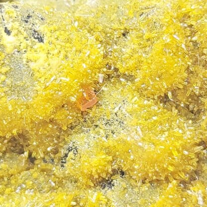 Pyromorphite et Wulfénite sur Quartz , Les Farges, Ussel, Corrèze.
