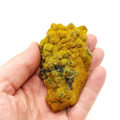 Pyromorphite et Wulfénite sur Quartz , Les Farges, Ussel, Corrèze.