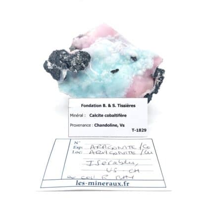 Aragonite /Co et /Cu, Anthracite, Chandoline, Valais, Suisse.