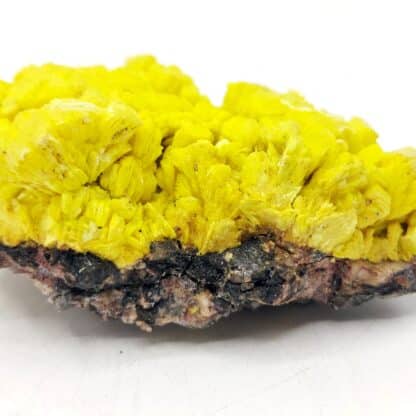 Autunite, mine de Margnac, Haute-Vienne, Limousin.