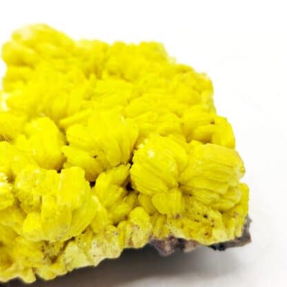 Autunite, mine de Margnac, Haute-Vienne, Limousin.