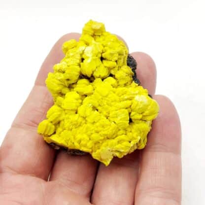 Autunite, mine de Margnac, Haute-Vienne, Limousin.