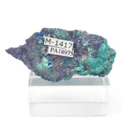 Connellite et Cuprite, Mine de South Tolcarne, Cornouailles, Royaume-Uni.
