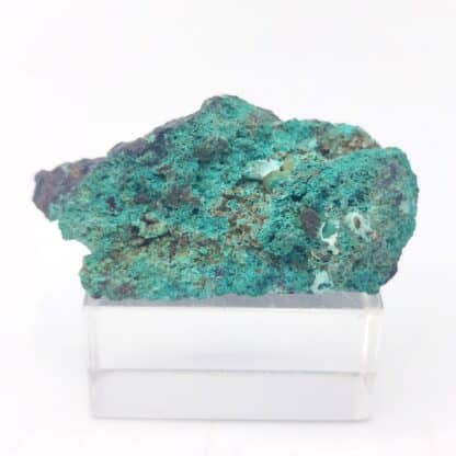 Connellite et Cuprite, Mine de South Tolcarne, Cornouailles, Royaume-Uni.