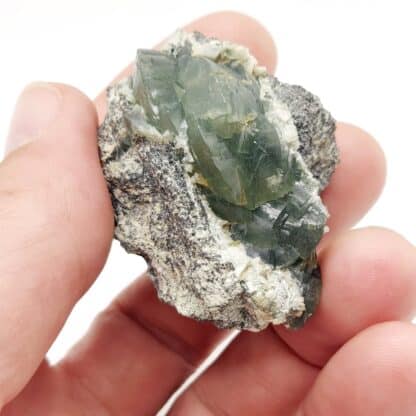Prehnite en casque, Combe de la Selle, Oisans, Isère.