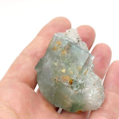 Fluorine Bleue, Dolomite Ferrifère, Langeac, Haute-Loire, Auvergne-Rhône-Alpes.