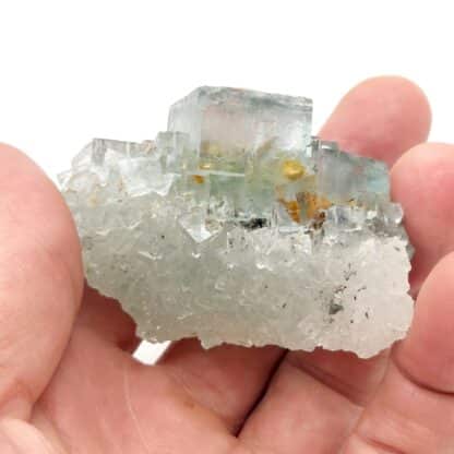 Fluorine Bleue, Dolomite Ferrifère, Langeac, Haute-Loire, Auvergne-Rhône-Alpes.