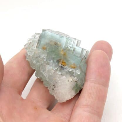 Fluorine Bleue, Dolomite Ferrifère, Langeac, Haute-Loire, Auvergne-Rhône-Alpes.