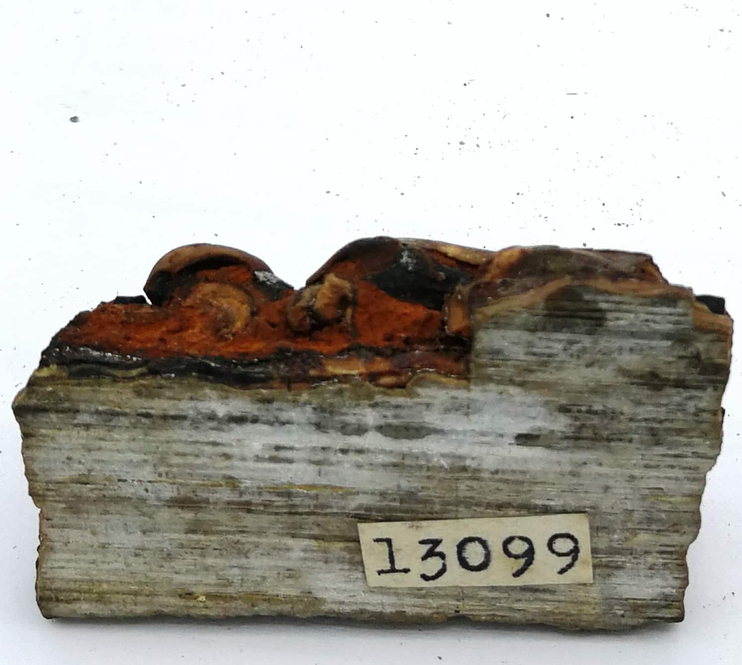 Aragonite, Karlsbad, Allemagne.