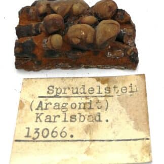 Aragonite, Karlsbad, Allemagne.