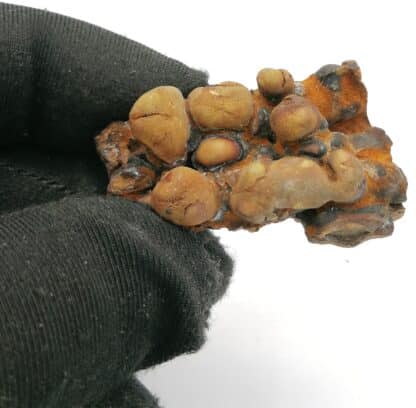 Aragonite, Karlsbad, Allemagne.