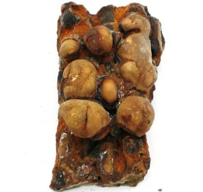 Aragonite, Karlsbad, Allemagne.