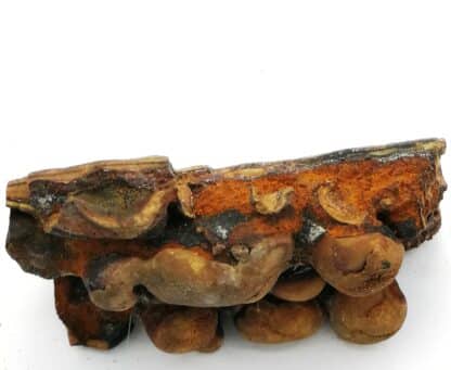 Aragonite, Karlsbad, Allemagne.