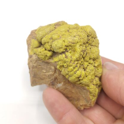 Pyromorphite arsénifère, Montagne de Vaudière, Pontgibaud, Puy-de-Dôme.