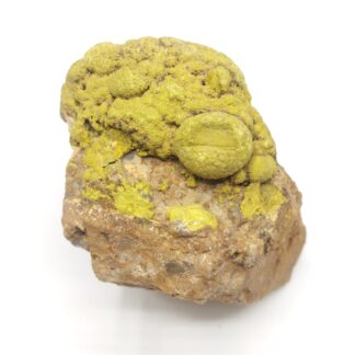 Pyromorphite arsénifère, Montagne de Vaudière, Pontgibaud, Puy-de-Dôme.
