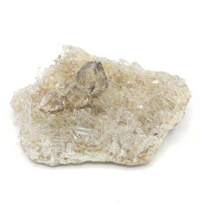 Quartz sceptre fumé, Loperhet, Finistère, Bretagne.