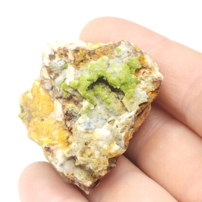 Pyromorphite, Col de Crie, Monsols, Rhône.