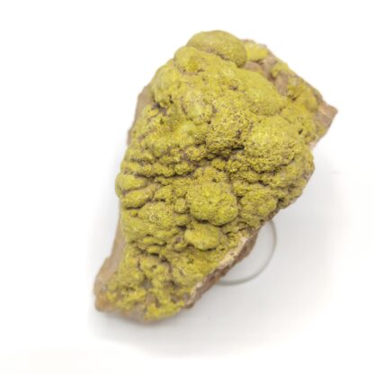 Pyromorphite arsénifère, Montagne de Vaudière, Pontgibaud, Puy-de-Dôme.