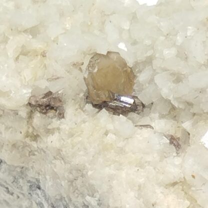 Hydroxyl – Bastnaesite & Allanite, Luzenac, Ariège.