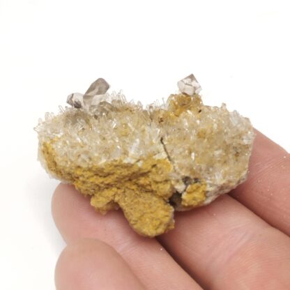 Quartz sceptre, Loperhet, Finistère, Bretagne.