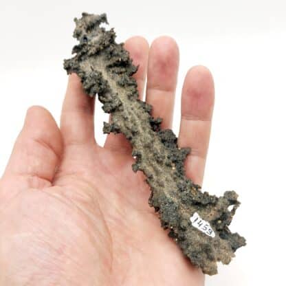 Léchatelierite (fulgurite) provenant du Niger.