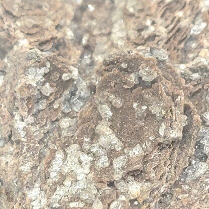 Cristobalite, Thomas Range, Utah, Etats-Unis. 