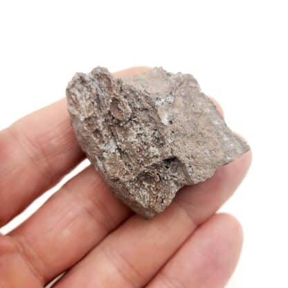 Cristobalite, Thomas Range, Utah, Etats-Unis. 
