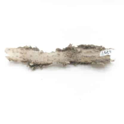 Léchatelierite (fulgurite) en provenance du Niger.