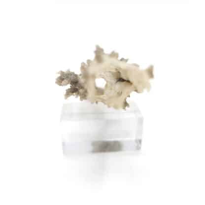 Léchatelierite (fulgurite) en provenance du Niger.