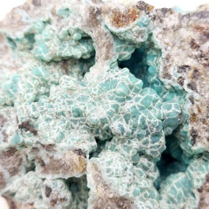 Francolite (staffélite), Mine Kovdor Zheleznyi, Mourmansk, Russie.