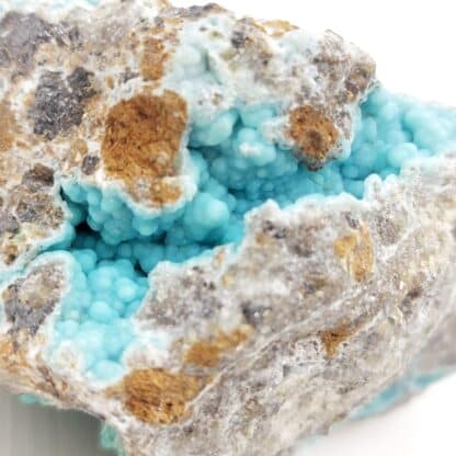 Francolite (staffélite), Mine Kovdor Zheleznyi, Mourmansk, Russie.