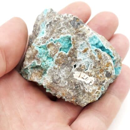 Francolite (staffélite), Mine Kovdor Zheleznyi, Mourmansk, Russie.