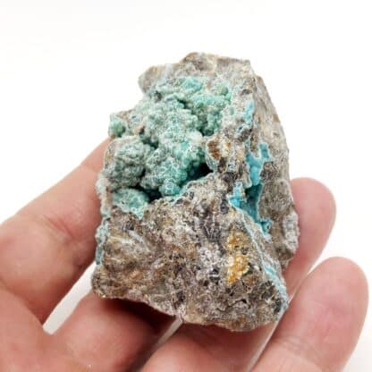 Francolite (staffélite), Mine Kovdor Zheleznyi, Mourmansk, Russie.