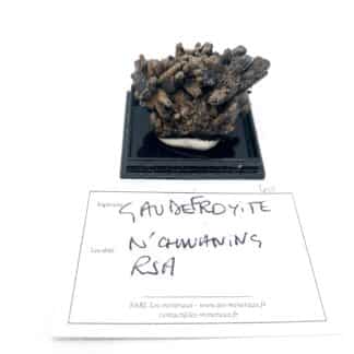 Gaudefroyite, Mines de N'Chwaning, Cap-Nord, Afrique du Sud.