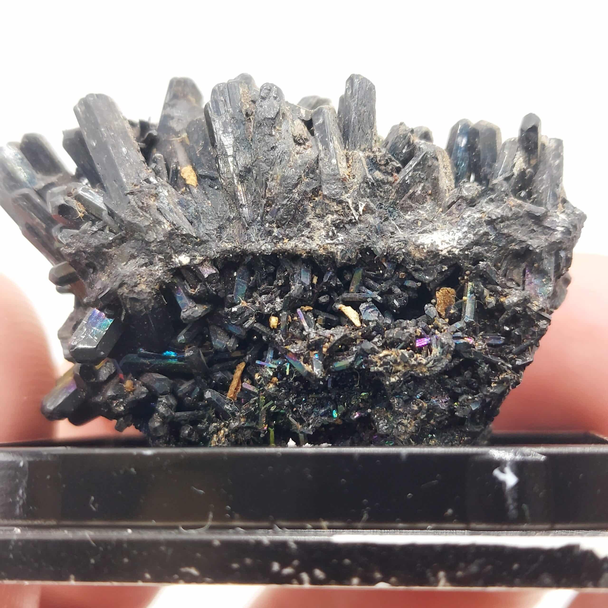 Gaudefroyite, Mines de N'Chwaning, Cap-Nord, Afrique du Sud.