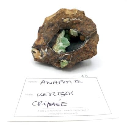 Anapaïte, Bassin ferrifère de Kerchenskyi, péninsule de Kertch, Crimée, Ukraine.