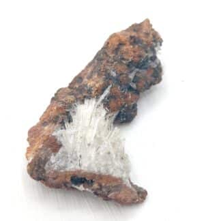 Scholzite, Reaphook Hill, Martins Well (Martins Well Station), Australie.